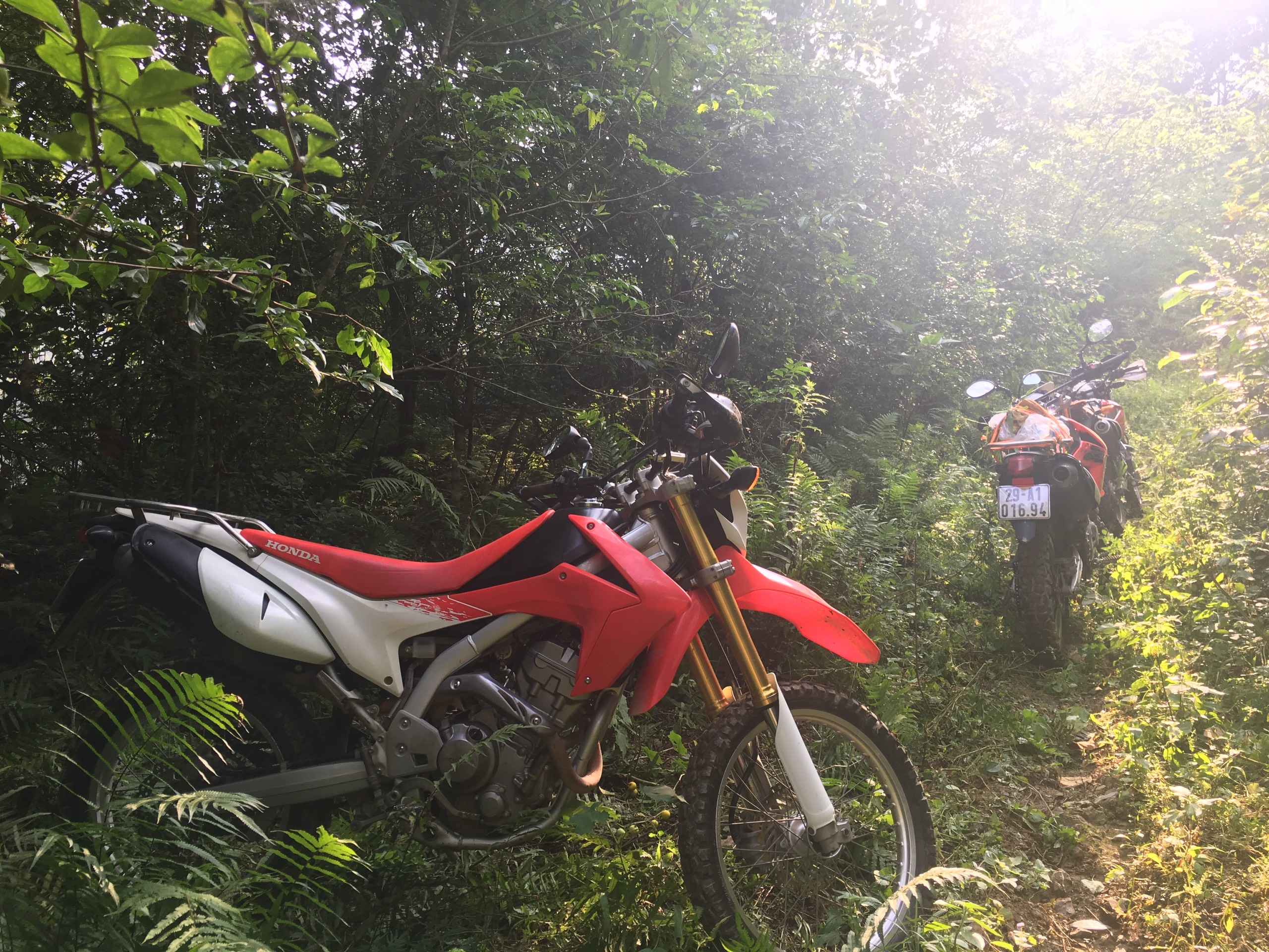 08 Day North East Off-road Vietnam Motorbike Tour